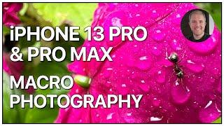 Macro Photography with the iPhone 13 Pro and iPhone 13 Pro Max