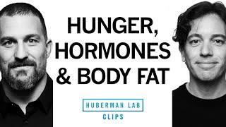 This Hormone Drives Hunger & Body Fat | Dr. Zachary Knight & Dr. Andrew Huberman