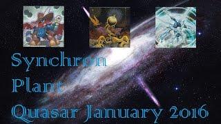 Synchron Plant Quasar deck profile January 2016