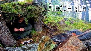 NO EQUIPMENT ONE IN THE TAIGA | FIND FOOD AND WATER | BUILD A COVER | REAL SURVIVAL