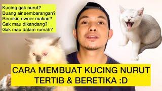 CARA MEMBUAT KUCING NURUT | Cara Membuat Kucing Tertib tidak membangkang atau rusuh