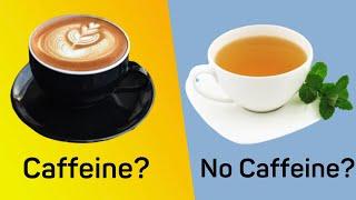 How Much Caffeine is in Green Tea? (Important Tips) | Green Tea Caffeine Content