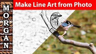 How to Make a Line Art Drawing from a Reference Photo Jason Morgan