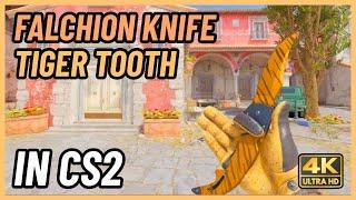  CS2 Falchion Knife Tiger Tooth | CS2 Knife In-Game Showcase [4K]