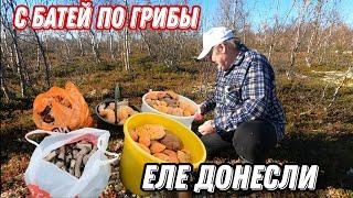 По ГРИБЫ с БАТЕЙ. Вот это УРОЖАЙ КРАСНОГОЛОВИКОВ!