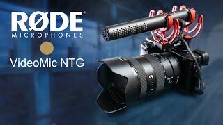 RODE VideoMic NTG Review | On-Camera & USB Microphone