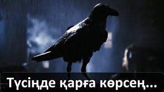 Түсіңде қарға көрсең... Қазақи ырымдар