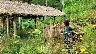 A 17-year-old girl discovered an abandoned house in the deep forest