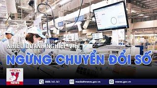 Nhiều doanh nghiệp Việt ngừng chuyển đổi số - VNEWS