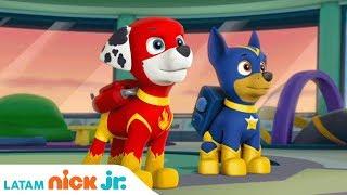 Saving Apollo the Super Pup! | PAW Patrol | Nick Jr.