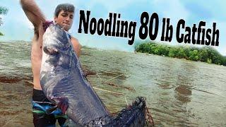 Noodling Catfish: Catching & Noodling Giant Catfish By Hand [Hillbilly Handfishing] | SFSC