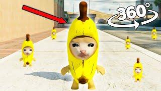 Banana Cat Finding Challenge 360º VR Video | Happy Happy cat
