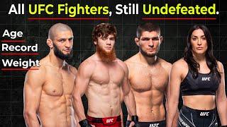 All UFC Fighters Who Are Still Undefeated - 2024