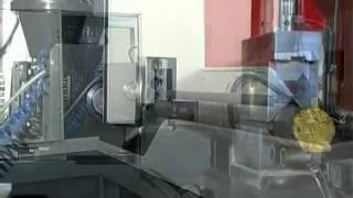 Circular Saw Machine by Zeal Tech Automation, Pune