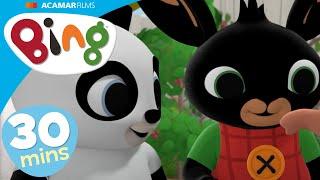 ⭐ Pando! ⭐ | Bing Nederlands