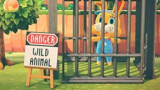 Best ANIMAL CROSSING New Horizons Clips #117