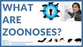 WHAT IS ZOONOSIS? WHAT ARE ITS EFFECTS? ALL YOU NEED TO KNOW! |Cancer Education & Research Institute