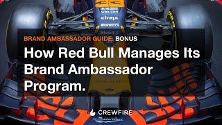 Bonus: How Red Bull Manages Its Brand Ambassador Program - The Brand Ambassador Marketing Guide