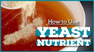 YEAST NUTRIENT: What even is it?! [Home Brewing Basics]