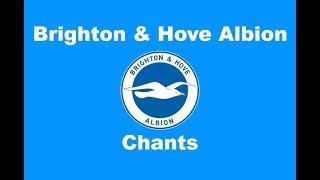 Brighton and Hove Albion's Best Football Chants Video | HD W/ Lyrics