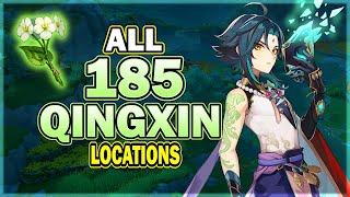 All 185 Qingxin Locations - Efficient Farming Route - Ganyu / Xiao / Shenhe Ascension Material