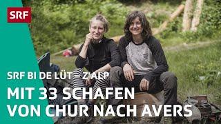Flavia & Fabiennes 60 km Wanderung mit 33 Schafen | Z'Alp – SRF bi de Lüt | 2020 - 2/3 | SRF