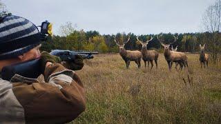 HUNTING THE KING OF THE DEER