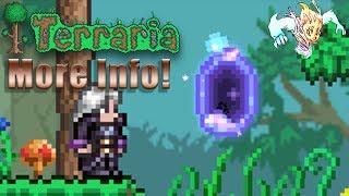 Terraria 1.3.6 Spoiler Void Bag Update - How Can I get One?