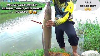 Gak nyangka..! Mancing di sungai liar dapat ikan lele sebesar ini