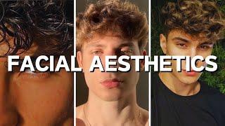 How To Get Model-Tier Facial Aesthetics (13+ Tips)