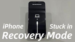 My iPhone Stuck in Recovery Mode. How Can I Get Out of the Frozen Recovery Mode Screen?