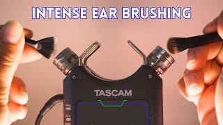 ASMR Tascam Ear Cleaning & Brushing (Crispy Sounds) - NO TALKING