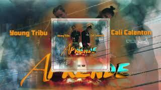 Young Tribu ft. Cali Calenton - Aprende  (Audio Oficial)