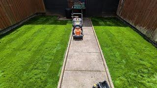 Limagrain MM50 small project. Lawn in just 2 weeks 