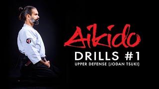 Aikido Drills #1 Upper Defense against Straight Punch