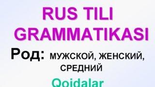 2-dars. ROD (JINS). RUS TILI GRAMMATIKASI. Uzrustili