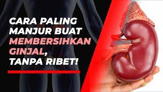 Tips Ampuh Bersihkan Ginjal agar Tetap Sehat