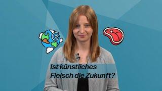 Was steckt hinter In-vitro-Fleisch? | futurezone