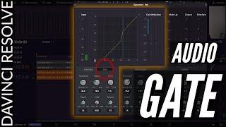 Davinci Resolve 16 - Audio GATE to Reduce Background Noise | Tutorial