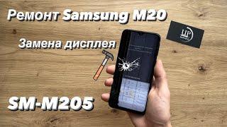 Ремонт Samsung m20 m205 замена разбитого дисплея, разборка СЦ ”UPservice” Киев