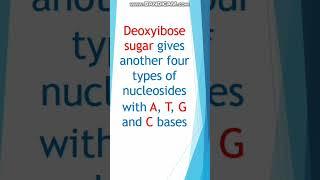 Knowledge Bank || The Eight Nucleosides