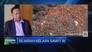 Sejarah Kelapa Sawit RI