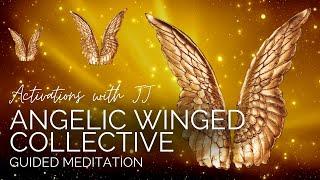 Angelic Winged Collective | Guided Meditation