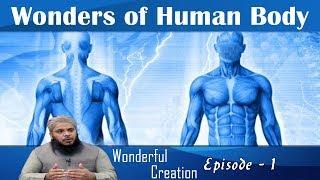 Wonders of Human Body - Wonderful Creation Episode 1 | Madani Channel English