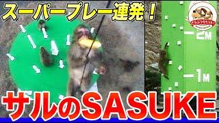 [Sasuke the Monkey] In order to help Japanese macaques endure the harsh winter cold by moving the...