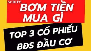 Bơm tiền mua gì: Top 3 cổ phiếu Bất Động Sản đầu cơ sẽ tăng giá mạnh trong năm 2025!