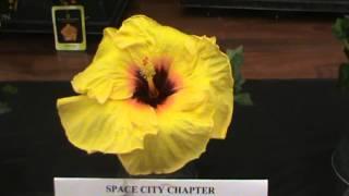 Space City show June 2 2013