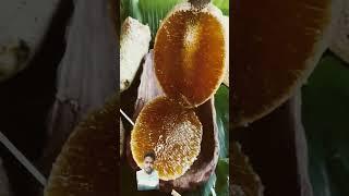 #nature #animal #fruit #food #honey #bee #honeybee #shortvideo #howto #foodie #streetfood #shorts