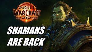 Shaman Class REWORK Finally Arrived - The War Within