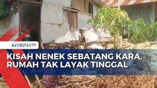 Kisah Nenek Wa Tia, Hidup Sebatang Kara di Rumah Tak Layak di Kota Bau-Bau